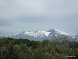 rre del Greco-30-03-2013 10-02-59